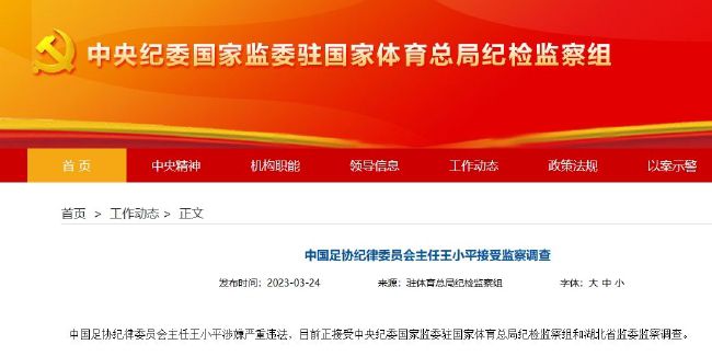 国产性videostv另类极品