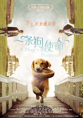 香蕉久久ac一区二区三区