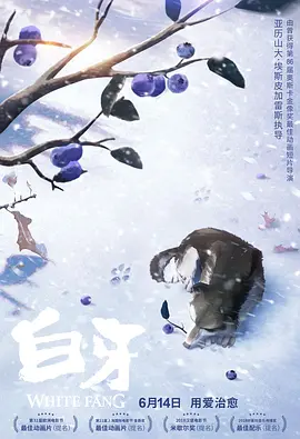 国产精品99久