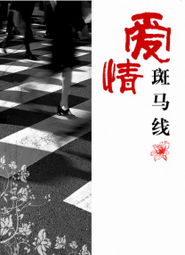 日韩不卡高清视频
