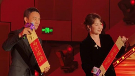 欧美一区二区三区免费看